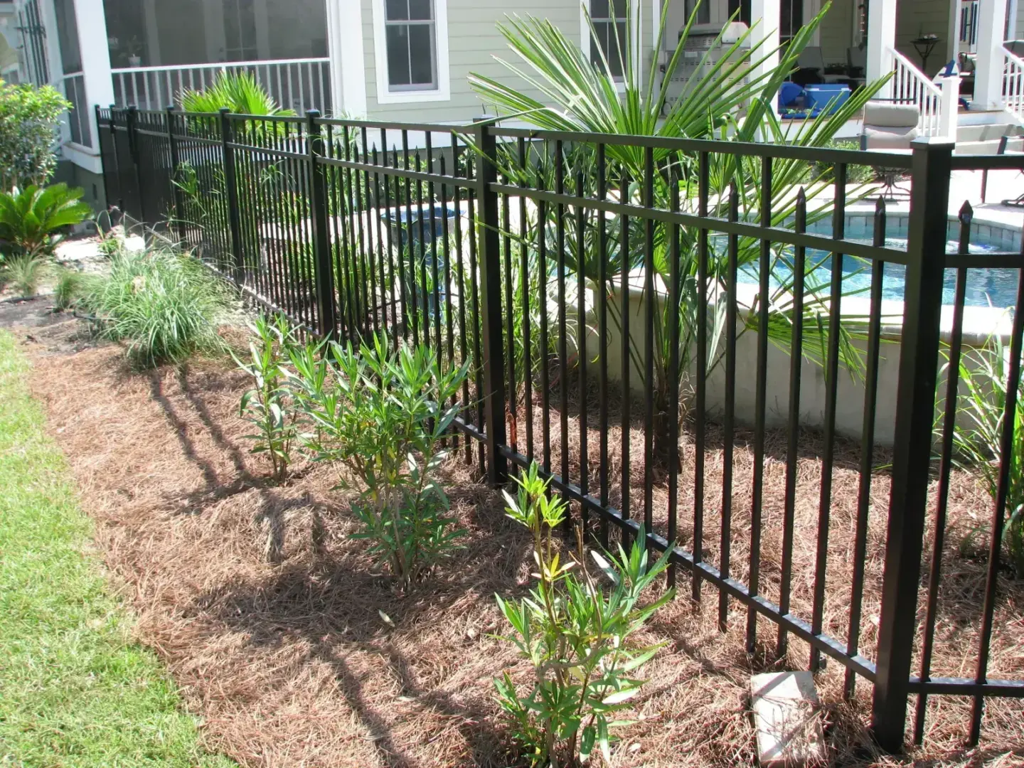 Aluminum fence pool featuring plants and grass on the background in charleston sc