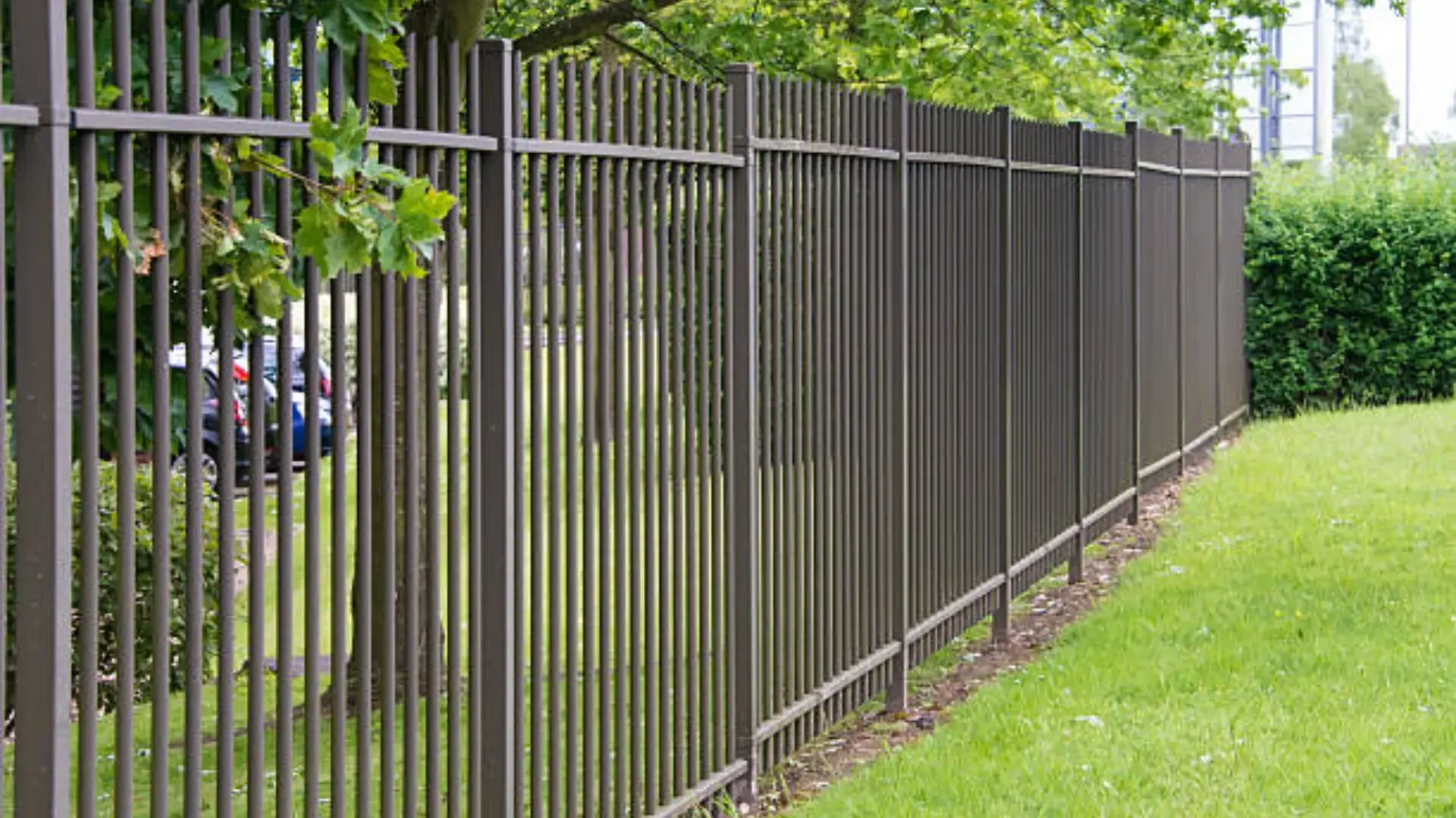 Ornamental iron fence featuring grassy land and trees in charleston sc