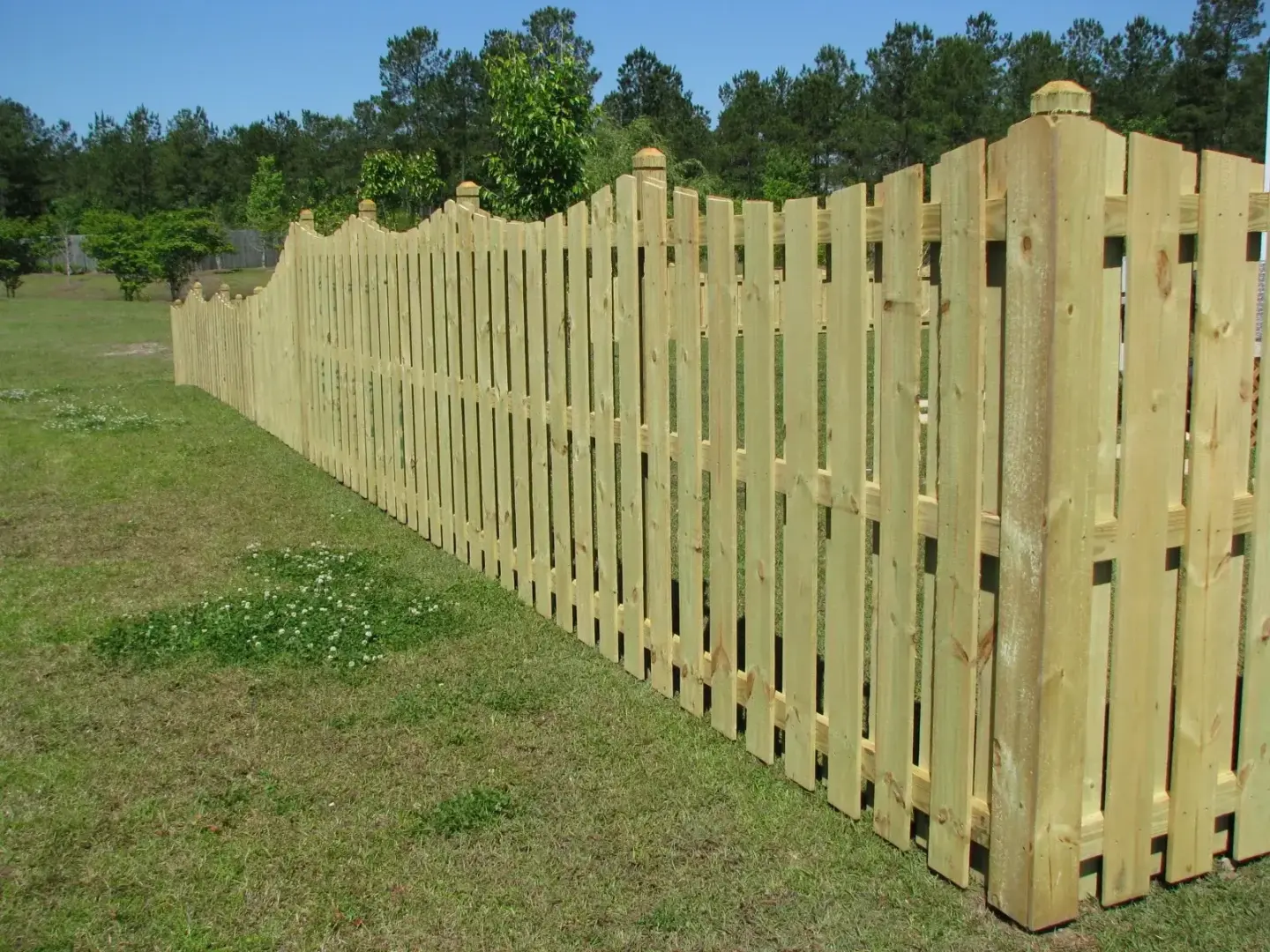 shadow box concave wooden fence featuring big trees in charleston sc 1440x1080